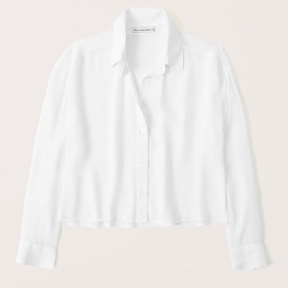 Abercrombie & Fitch Long Sleeve Sheer Button Up